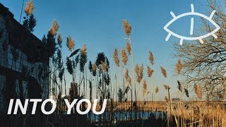 into you | the cinematic orchestra