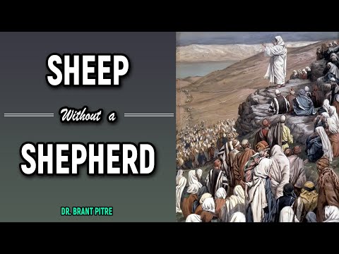 Sheep Without a Shepherd