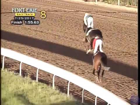 Cool Catomine_Prince of Wales Stakes_2017