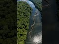 Amazon Forest Amazon Jungle Sciencefacts Vikings Facts