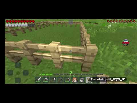 Costruisco la mia coltivazione nella mia nuova casa-craftsman