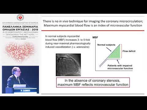 P.CAMICI  | Coronary microvascular dysfunction in arterial hypertension
