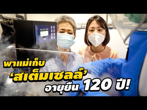 คลิกเพื่อดูคลิปวิดีโอ