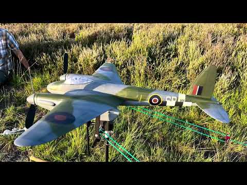 Mosquito trimming session.