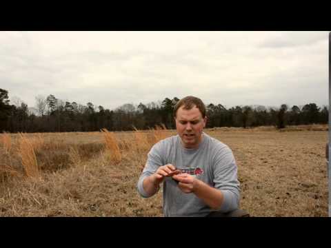 Predator Trapping- Pan Cover Options