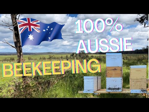 A True Aussie Adventure| Aussiebeekeeping