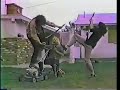 MEAT PUPPETS - Get On Down