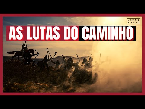 Numbers 21 Study: THE STRUGGLES ON THE WAY (Bible Explained)