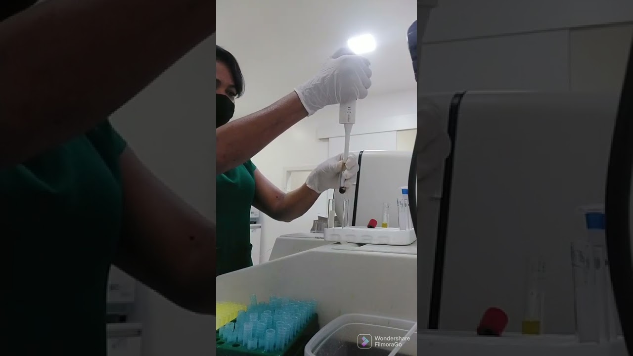 TGO e TGP no Bioplus na mesma configuração 🤪