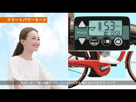 20型 電動アシスト自転車 PAS Babby un SP(マットブラック2) リヤ