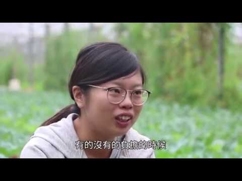 在文創市集的有機菜 菜和概念一起賣