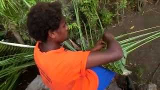 preview picture of video '2013-09-16 Výroba střechy z kokosového listí | Weaving roof from coconut leaves'