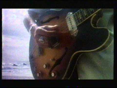 Silverbird video thumbnail