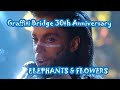 Prince - Elephants & Flowers (1990) Review - Mr Ant's world of prince Prince - Elephants & Flowers (1990) Review