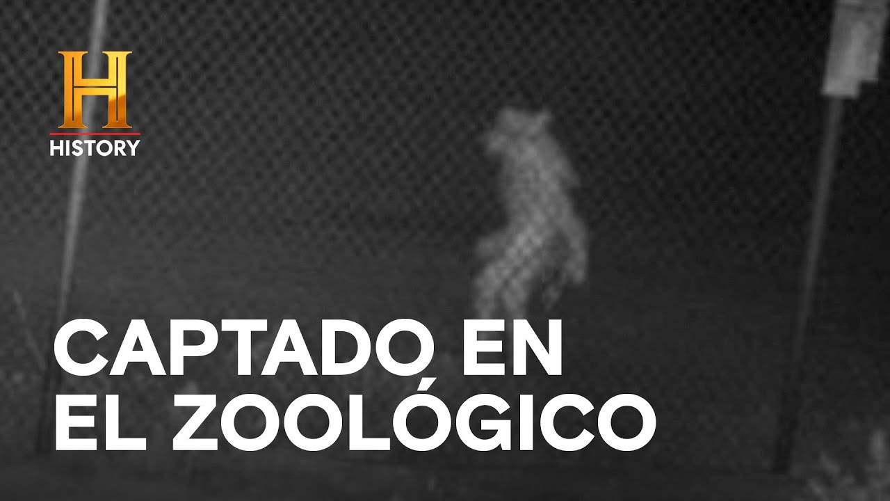 ¿CHUPACABRAS EN HOUSTON? - LA EVIDENCIA ESTÁ ENTRE NOSOTROS