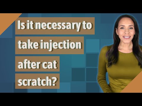 Is it necessary to take injection after cat scratch?