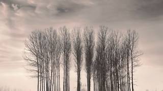 Dave Alvin - Tall Trees