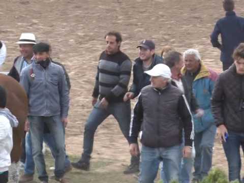 Clásico Velocidad (700 mts) -Perdizero Key-