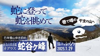 【山歩き】巷で噂の干支の山 蛇谷ヶ峰! 蛇に登ってヘビを眺めて 運気が上がった気がする…