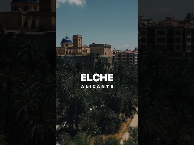 Vídeo relacionado con Elche España Souvenir Bandera España Vacaciones España Camiseta