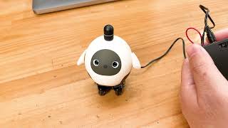 LOVOT with toothbrush driving device part2