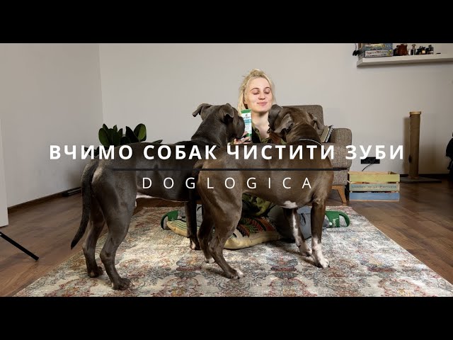 YouTube video preview