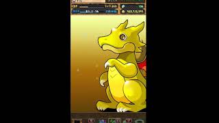 パズドラ　スーパーゴットフェス　諭吉×1