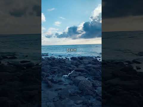 Beach Moments. #saintmartin #saintmartinisland #beach #beachlife #beachday