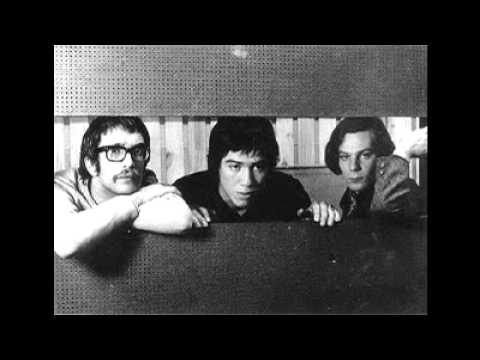 Manal - Una casa con 10 pinos