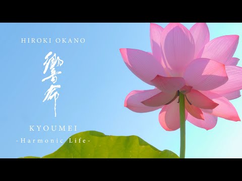 Hiroki Okano - Harmonic Life（響命）