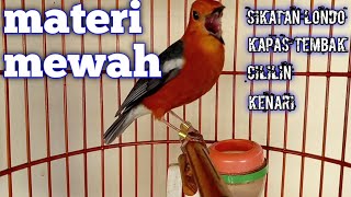 Download lagu ANIS MERAH GACOR#MATERI MEWAH# mp3