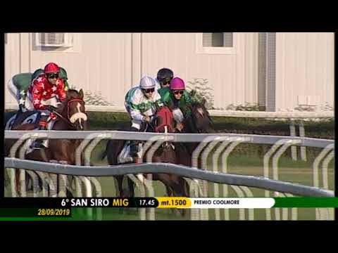 2019.09.28 Premio Coolmore (ITA) - Festive Star