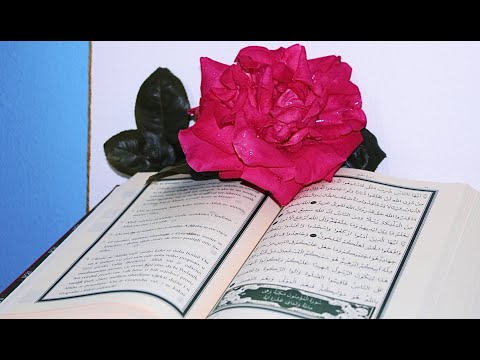 Cijeli Kur'an - Hafiz Irfan Malic - 1/2 (prvi dio)