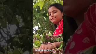Download lagu Poolamme Pilla Full Videosong | #Hanuman |#TejaSajja #Amrithaayar |#Gowra Hari | #prashanthcreations mp3