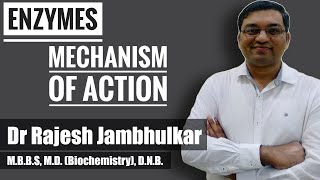 6. Enzyme - Mechanism of Enzyme Action