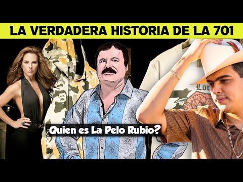 LA 701 - La Historia REAL del CORRIDO | ¿QUE ES LA 701 Y  QUIEN ES LA PELO RUBIO?