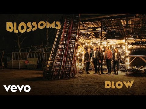 Blow - Blossoms