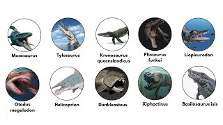 Download lagu Semua Jenis Monster Laut Purba Paling Unik dan Mengerikan Dijelaskan dalam 8 Menit! mp3 Download lagu Semua Jenis Monster Laut Purba Paling Unik dan Mengerikan Dijelaskan dalam 8 Menit! mp3