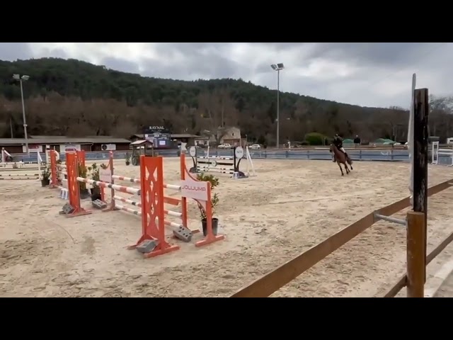 Jument de sport  8 ans 