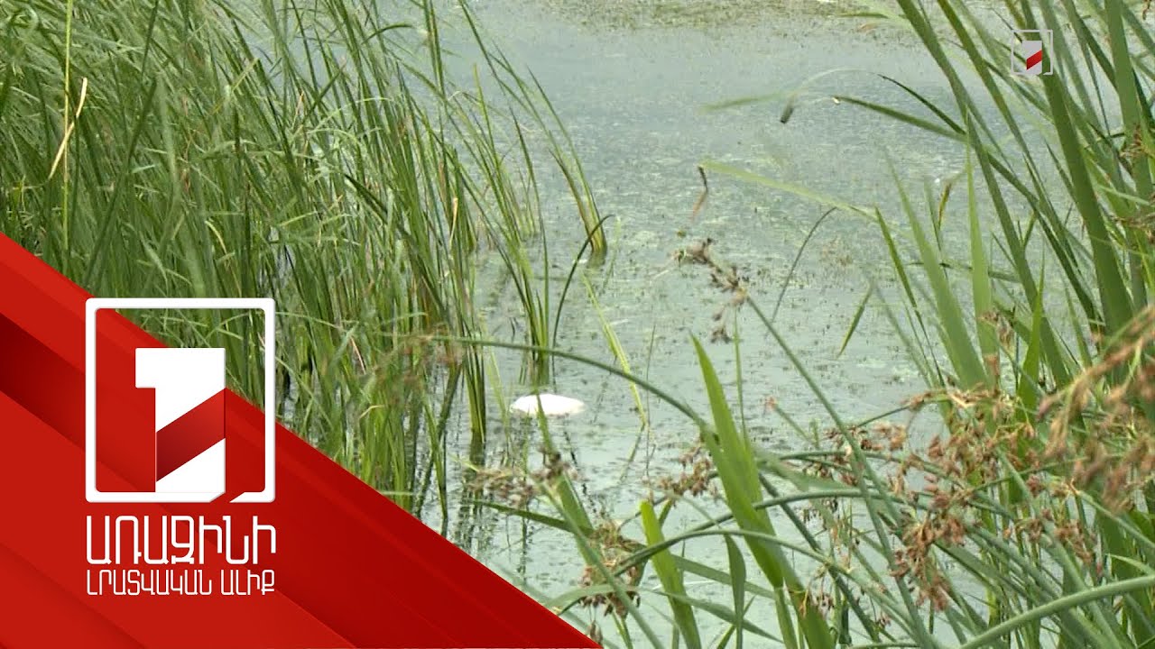 Սևանա լճի կանաչումը կանխելու հարցը նախարարությունը քննարկում է միջազգային գործընկերների հետ