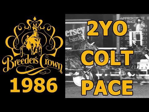 1986 Breeders Crown - Sunset Warrior - 2YO Colt Pace