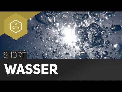 Water - The Basis of Life - #TheSimpleShort