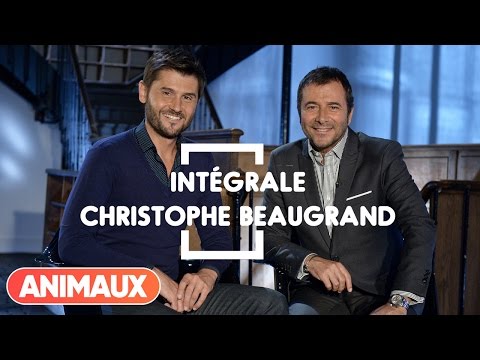 Christophe Beaugrand dans Animaux Stars (intégrale) - Animaux