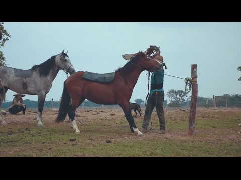 Negras penas Jesús Moreno