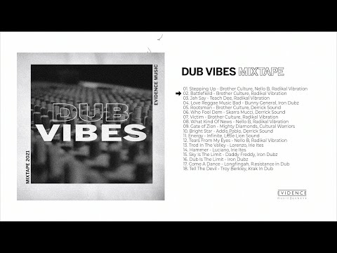 Dub Vibes - Mixtape [Evidence Music]