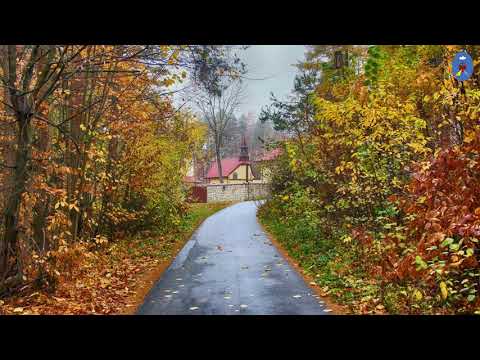 Pustelnia 23.12.2020 - Koronka