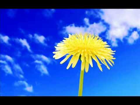 download lagu mp3 mp4 Ladice, download lagu Ladice gratis, unduh video klip Ladice