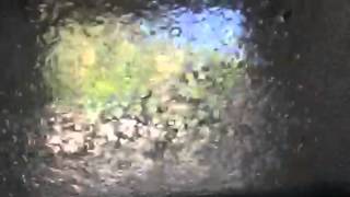 Jaye Bartell - Lilly