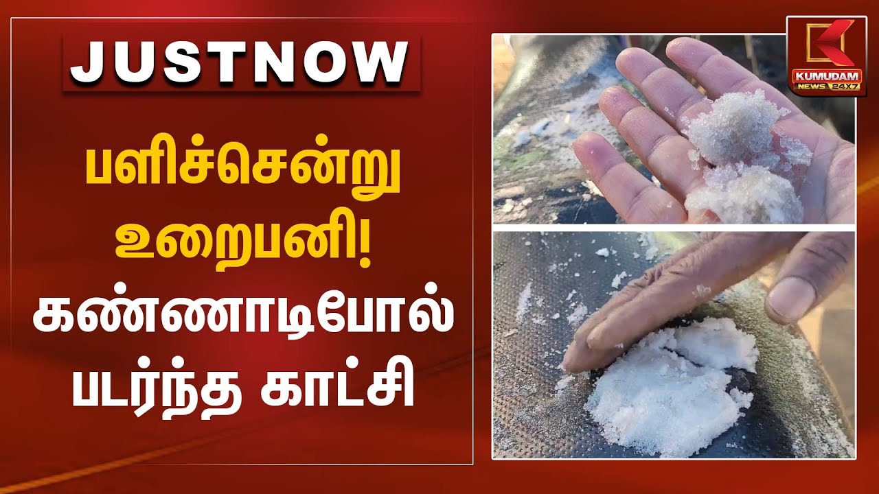 பளிச்சென்று உறைபனி! கண்ணாடிபோல் படர்ந்த காட்சி | Frost Formation | Kumudam News