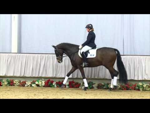 03 Fortissimo Wallach v. Franziskus - Dr. Doolittle